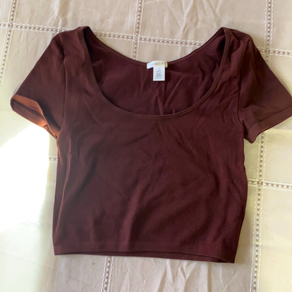Brown nylon short sleeve crop top NWOT